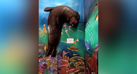 Tunnel aquarium at Bengaluru KSR Station shuts shop; losses blamed  