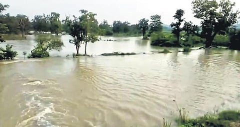 Glimpse of the canal breach near MPV-75 village, submerged agricultural land  | Express
