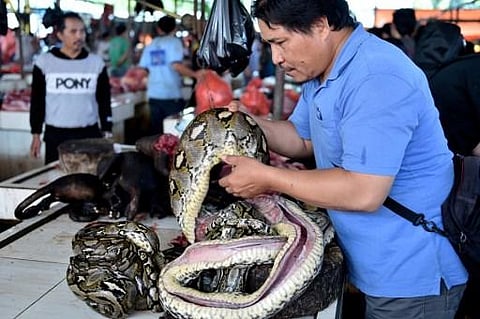 The first study shows that the earliest known cases were clustered around the Wuhan market. (File Photo | AFP)