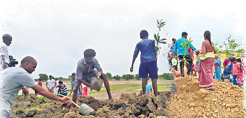 Villupuram’s green army