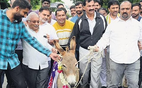 Congress leader Lakshman takes out a rally with a donkey in Mysuru on Tuesday