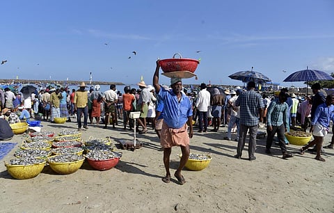 The Chellanam mini fishing harbour buzzing with activity. (Photo | A Sanesh, EPS)