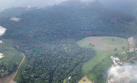 Aerial view of the Longwood Shola forest in Kotagiri of The Nilgiris district 