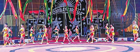 When the circus comes to town