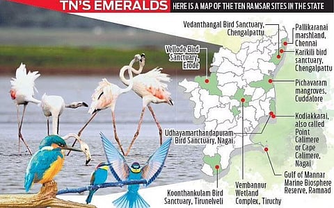 TN adds six more Ramsar sites, shares top spot in India with UP