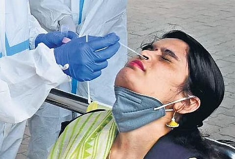 A woman provides swab samples for Covid test. Representative purpose only. (File photo)