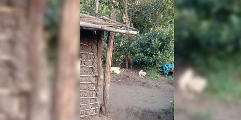Fear of boulders forces tribals in Tiruppur village to sleep on the open