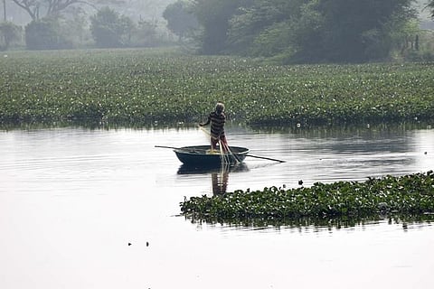 Coimbatore Corp to revive Singanallur lake, awaits nod from CMA
