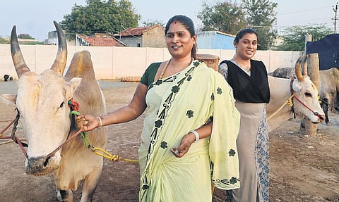 Transwomen Keethana & Akshaya with their jallikattu bulls in Madurai  | K K Sundar