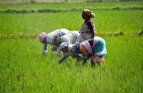 Representational image. (Photo | Madhav K, EPS)
