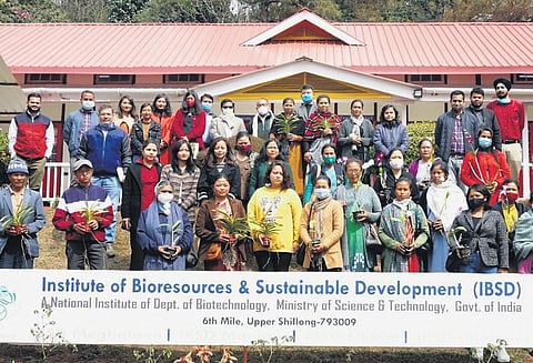 Orchid flower plants in variegated hues, are grown by 20 women entrepreneurs of the north-eastern state. (File Photo)