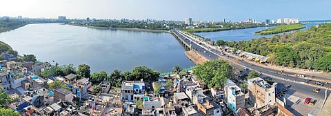 Representational image. (Photo | Ashwin Prasath, EPS)