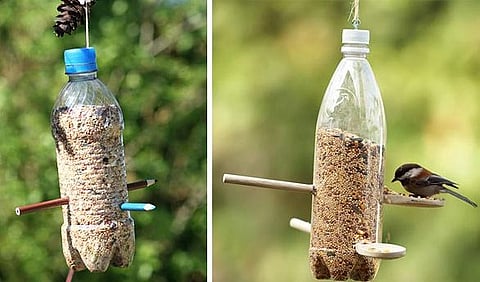 Bird feeder made up of plastic bottles