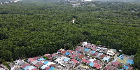 Located in eastern Borneo -- the world's third-largest island -- Nusantara is set to replace sinking and polluted Jakarta as Indonesia's political centre by late 2024.  (Photo | AFP)