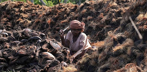 A coir worker, pounds coconut husk 