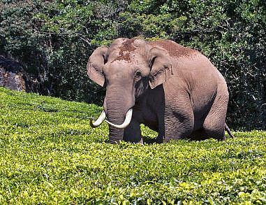 Representational image (Photo | Express)