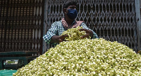 Misty weather affects flower supply for Ayutha Poojai, rates expected to sky-rocket