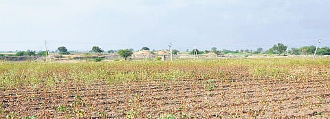Andhra Pradesh registers large deficient rainfall during North East Monsoon