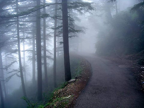 Image used for representational purpose only.