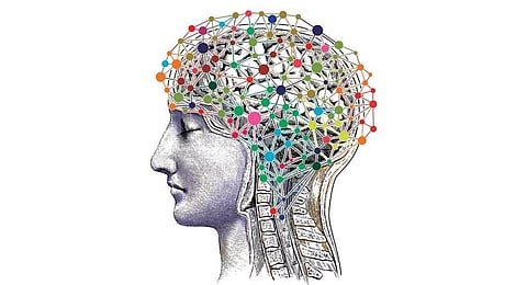 Image used for representational purposes.