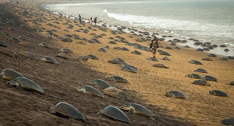 Image used for representational purpose. (File photo)