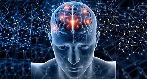 Image used for representation