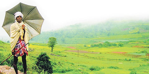 Image used for representational purpose only. (File Photo)