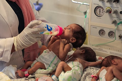 FILE | A Palestinian medic cares for premature babies, evacuated from Gaza City's Al Shifa hospital  ahead of their transfer to Egypt | AFP