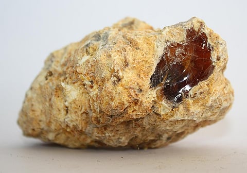 Since January 2022, the forest department has registered 11 cases and recovered 77. 17kg of ambergris. However, all of that has turned out to be fake. 