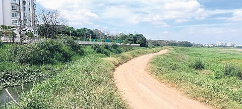 The bund prevents sewage from entering Bellandur Lake. (Photo | Express)