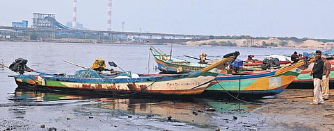 CPCL said it has taken the lead to remove the oil slick near Ennore Creek which is  10 kilometres away from its premises. (Photo | Shiba Prasad Sahu, EPS)
