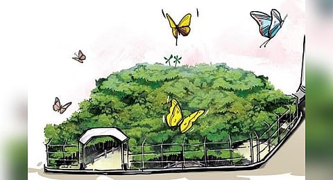 Representation image.