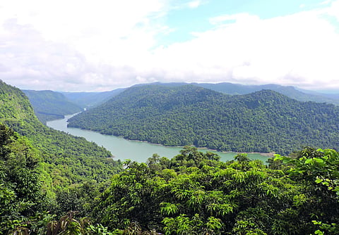 Sharavathi Valley is spread across Uttara Kannada and Shivamogga.(Photo | EPS)