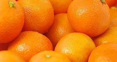 The southern states are the biggest market for Punjab's kinnow. (Photo | Warehousing Development and Regulatory Authority website)