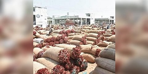 Apart from paddy, chilli crops face the risk of getting damaged. Out of the 15,000 hectares, more than 13,000 hectares have been affected by the flood and many fields are still filled with water. 