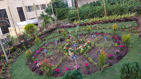 Nilachakra Nabagraha garden developed at Harishankar temple in Puri. (Photo | Express)