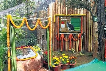 The wallaby enclosure inaugurated on Friday at Nandankanan zoo | Express