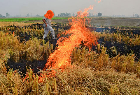 Many factors, besides trade, contribute to global warming, including agriculture, transport and industry
