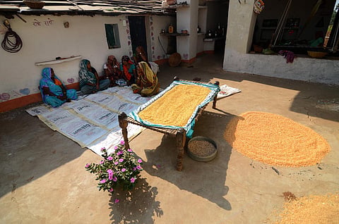A village comprising of the Sahariya tribe in Sheopur District, Madhya Pradesh. (Photo | EPS)