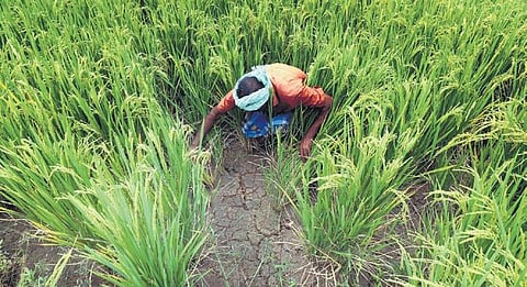 For representational purposes.  | KK Sundar, EPS