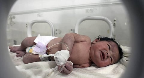 A baby girl who was born under the rubble caused by an earthquake that hit Syria and Turkey receives treatment inside an incubator at a children's hospital in Aleppo province. (Photo | PTI)