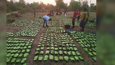 kendu leaf image used for representational purposes only. 
