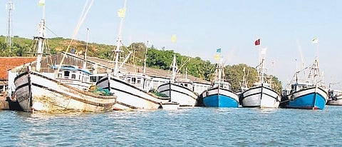 Boats lined up at a jetty in Tadadi on the Aghanashini river 