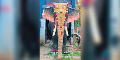 Robotic elephant Irinjadappilly Raman
