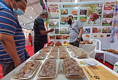 Buyers checking out fresh fruits and dry fruits from Kashmir that have been a  major attraction among the stalls set up at Vaiga 2023, being held at Putharikandam Maidan. (Photo | B P Deepu, EPS)