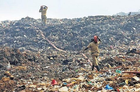 ​  Fire and Rescue Services personnel engaged in fire extinguishing at Brahmapuram waste treatment plant in Kochi | T P Sooraj   ​