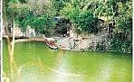 What’s in a name: Paddy land that served as gateway to Chenkotta