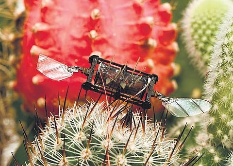 Simply Scientifico: Self-healing damage in flying robots