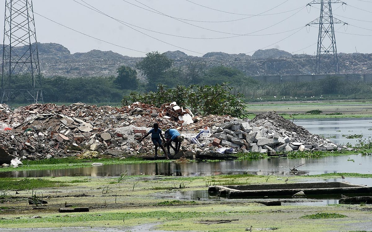 No fixed 1-km buffer around Pallikaranai Ramsar site: Wetland Authority tells Madras HC