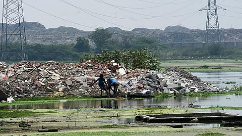 Pallikaranai Ramsar Site